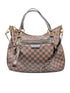 Louis Vuitton Damier Ebene Evora MM Bag