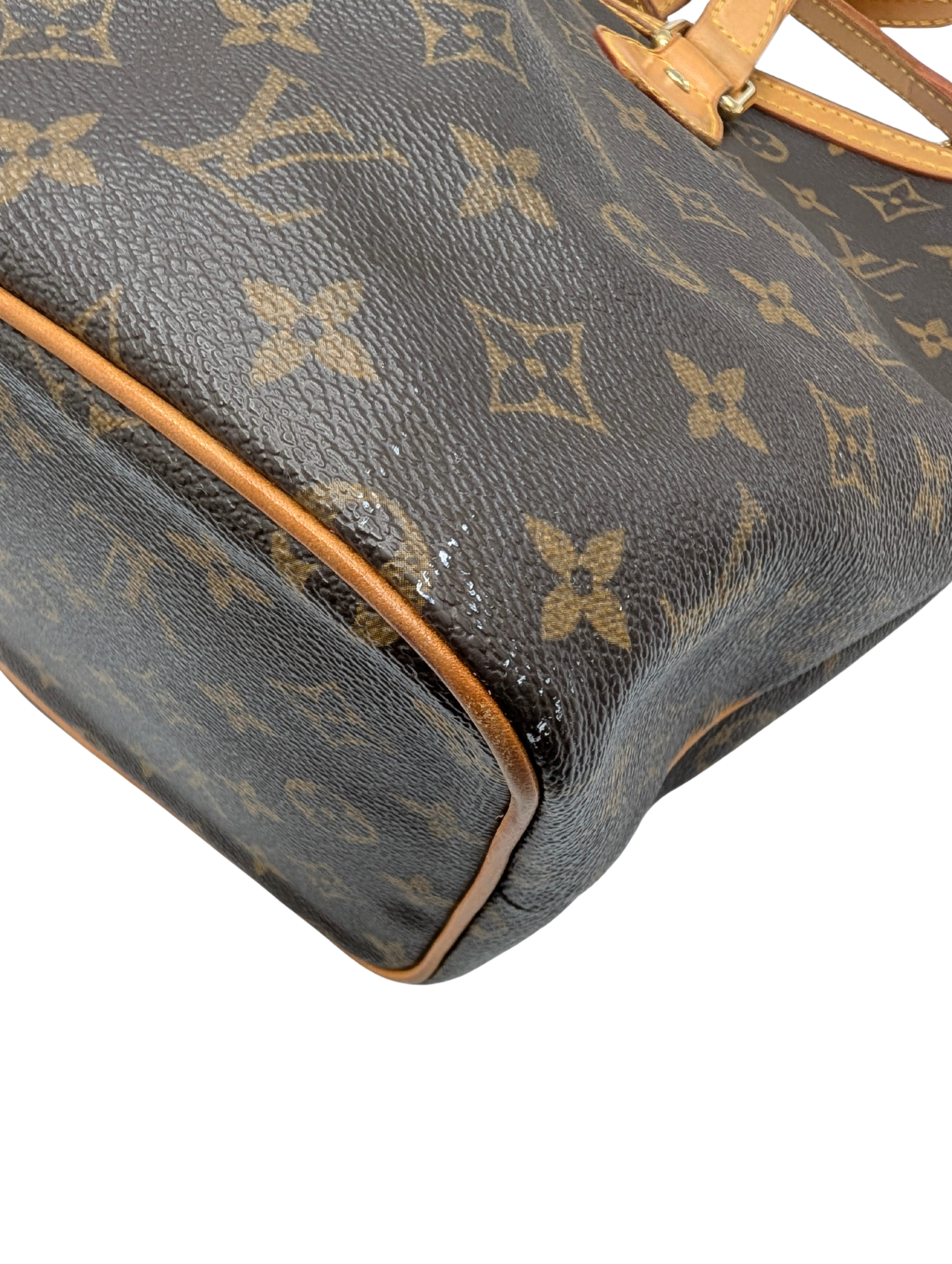 Louis Vuitton Monogram Palermo PM Shoulder Bag