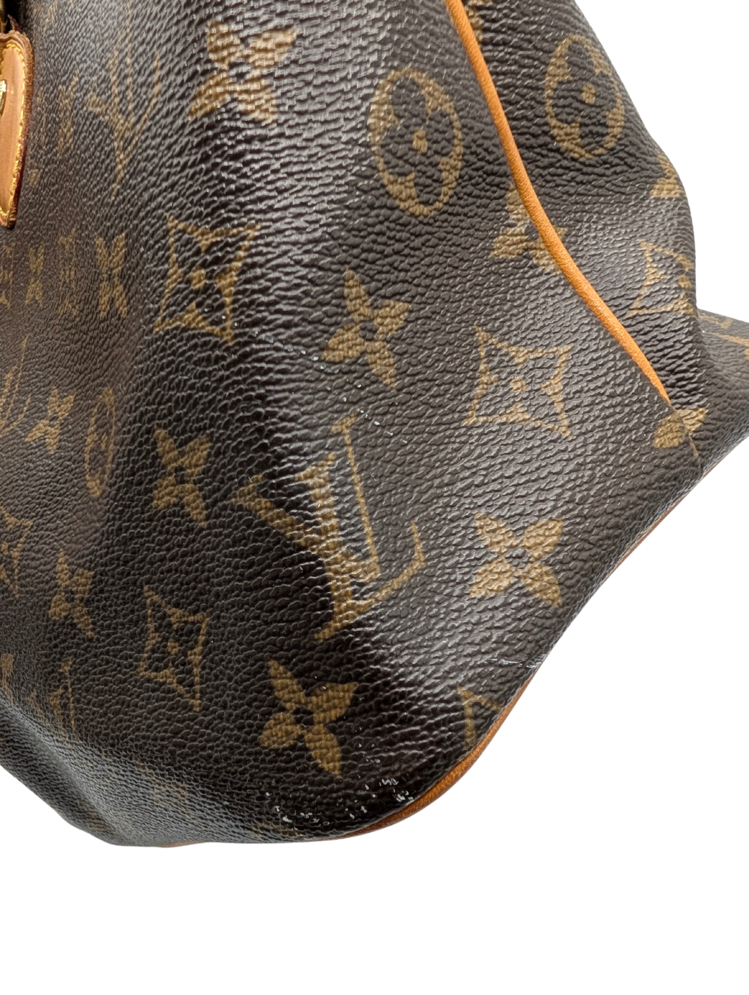 Louis Vuitton Monogram Palermo PM Shoulder Bag
