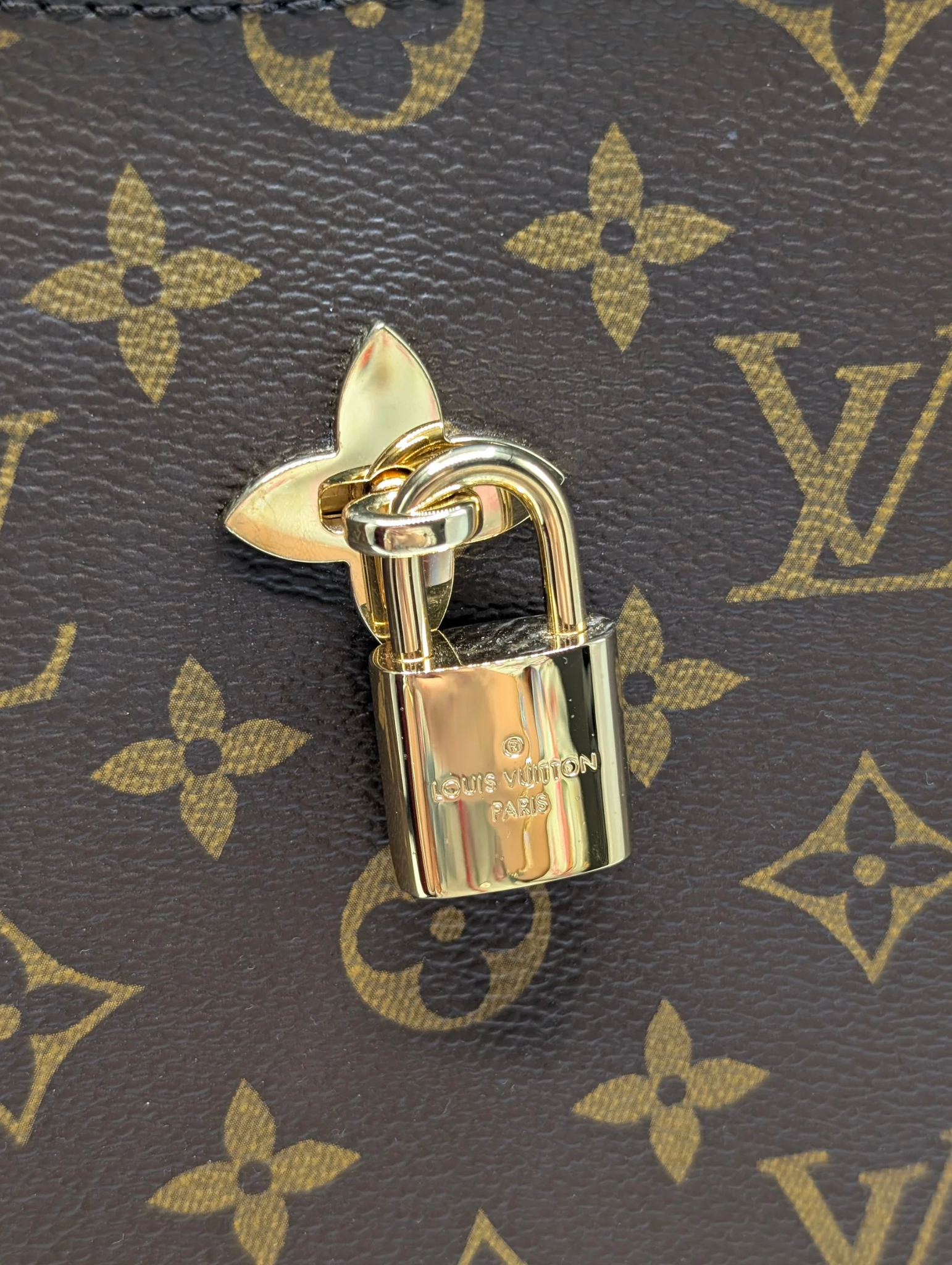 Louis Vuitton Monogram Flower Hobo Bag