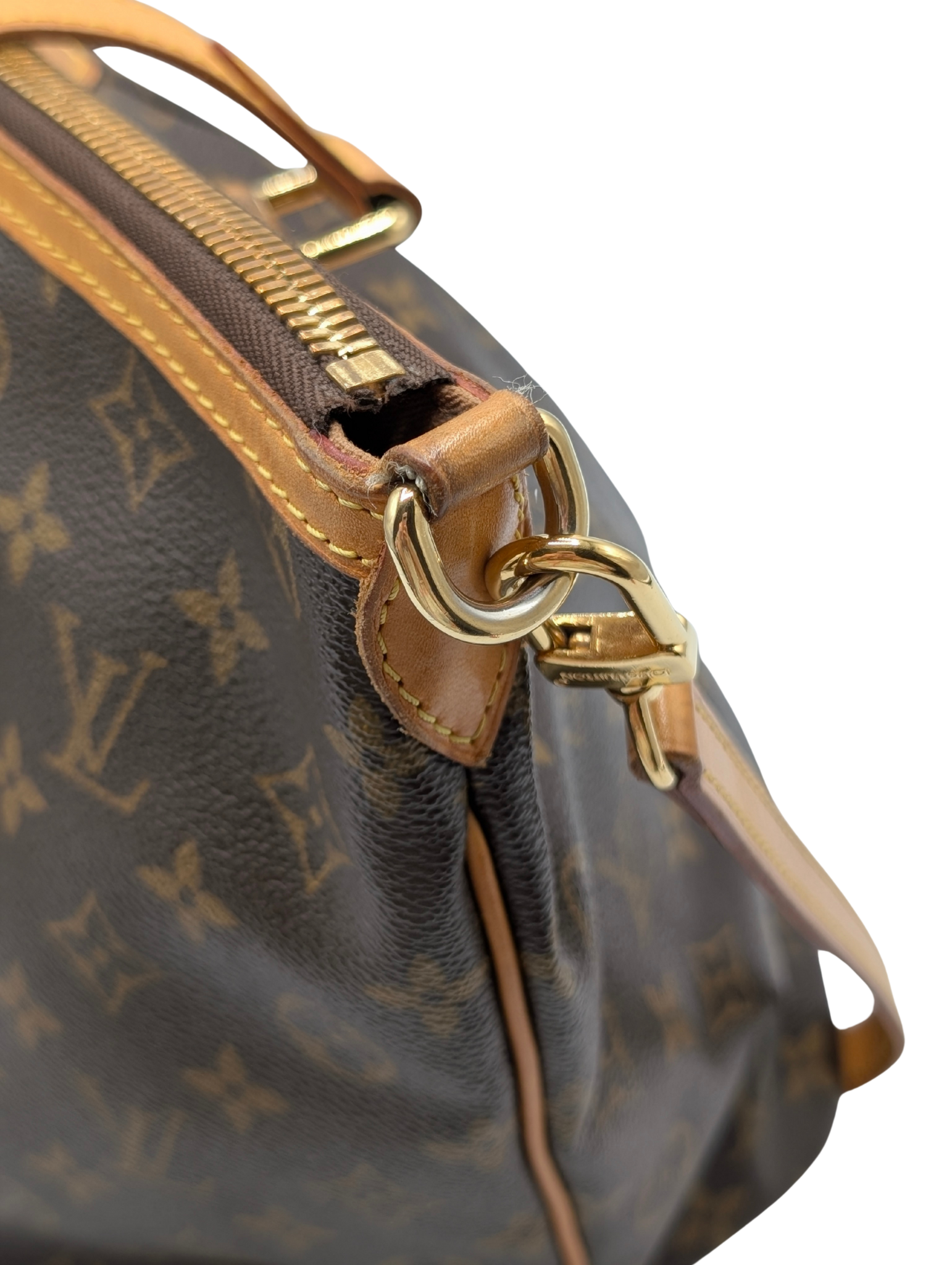 Louis Vuitton Monogram Palermo PM Shoulder Bag