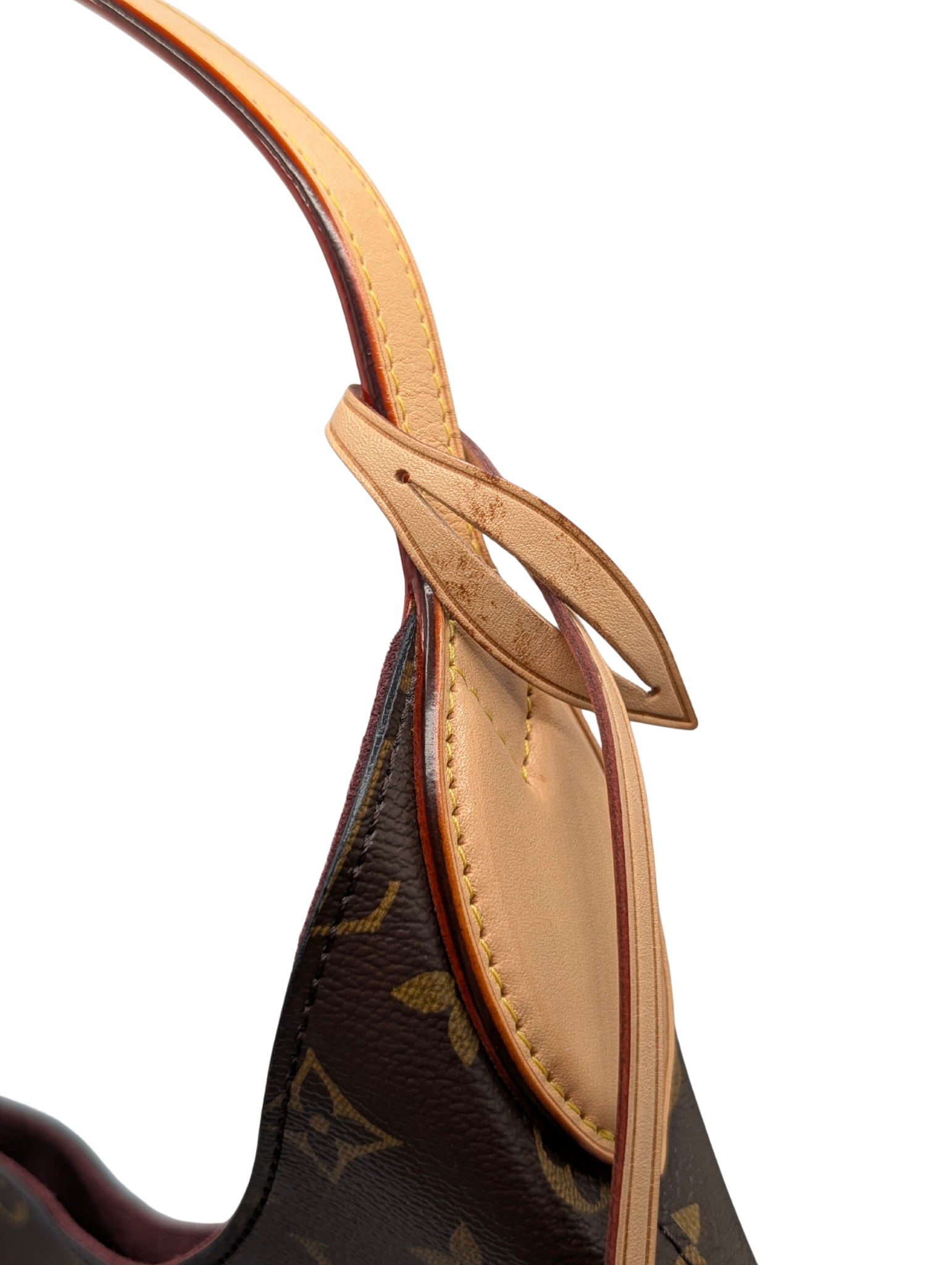 Louis Vuitton Monogram Flower Hobo Bag