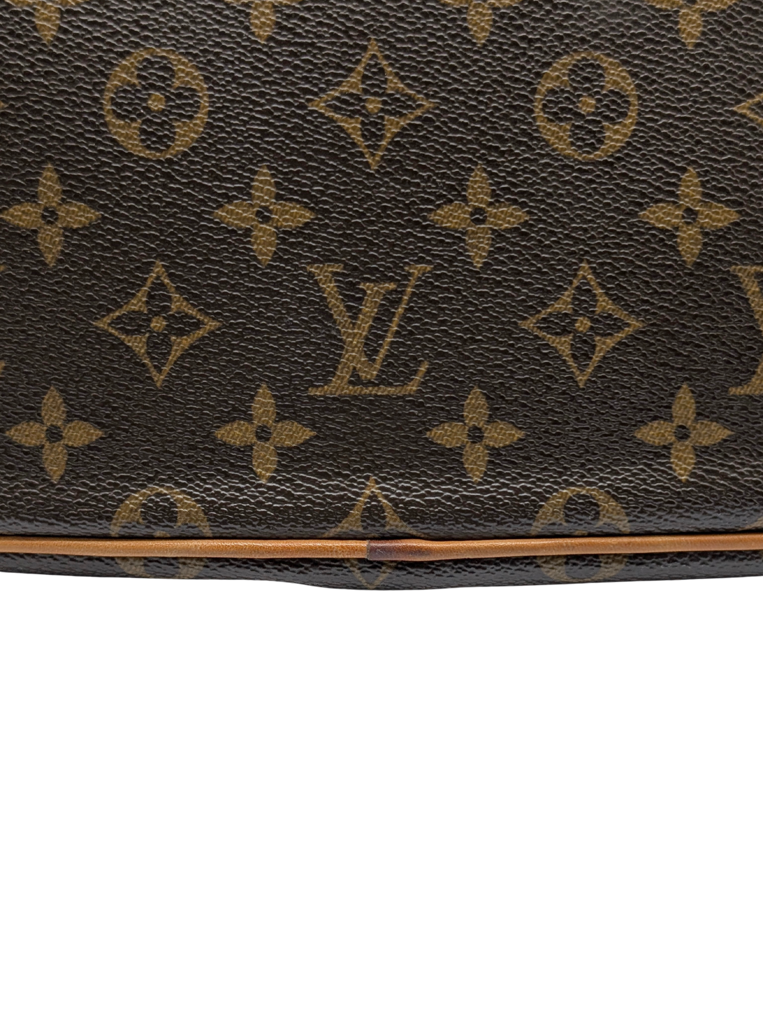 Louis Vuitton Monogram Palermo PM Shoulder Bag