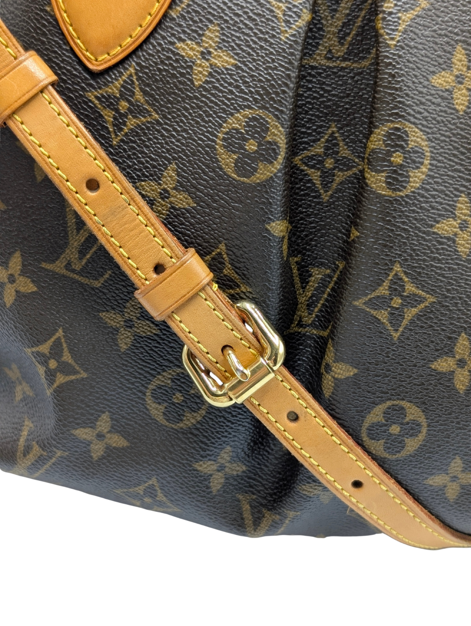 Louis Vuitton Monogram Palermo PM Shoulder Bag